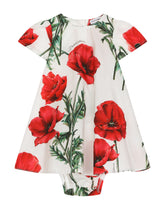 Poppy-print poplin dress - | Dolce & Gabbana