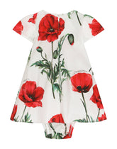 Poppy-print poplin dress - | Dolce & Gabbana