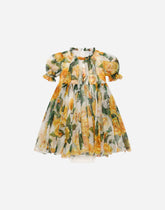 Chiffon dress with bloomers and yellow rose print - | Dolce & Gabbana