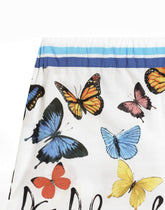 Striped poplin shorts with butterfly print - | Dolce & Gabbana