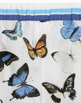 Striped poplin shorts with butterfly print - | Dolce & Gabbana