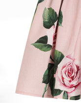 Skirt - | Dolce & Gabbana