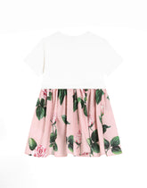 Rose-print poplin and jersey dress - | Dolce & Gabbana