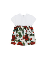 Poplin and jersey dress with red rose print - | Dolce & Gabbana