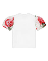 Carnation-print poplin and jersey T-shirt - | Dolce & Gabbana