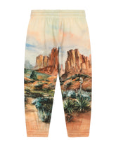 Cotton jogging pants with canyon print and logo tag - | Dolce & Gabbana