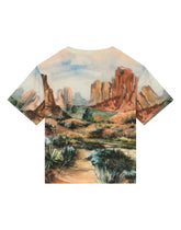 Jersey T-shirt with canyon print and logo tag - | Dolce & Gabbana