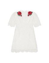 Lace dress with embroidery - | Dolce & Gabbana