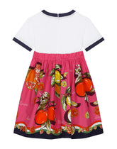 Citrus-print poplin and jersey dress - | Dolce & Gabbana