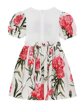 Carnation-print poplin and jersey dress - | Dolce & Gabbana