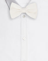 Ties&Bowties - | Dolce & Gabbana