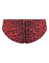 Leopard-print swim briefs - | Dolce & Gabbana