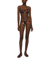 Padded Balconnet Bra - | Dolce & Gabbana