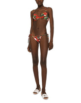 Tanga Brief - | Dolce & Gabbana