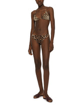 Slip - | Dolce & Gabbana