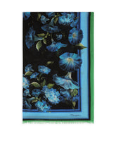 Cotton sarong with bluebell print (110 x 190) - | Dolce & Gabbana