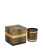 Scented Candle - Patchouli - | Dolce & Gabbana