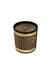 Scented Candle - Patchouli - | Dolce & Gabbana
