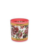 Scented Candle - Rosa Moschata - | Dolce & Gabbana