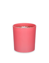 Scented Candle - Rosa Moschata - | Dolce & Gabbana