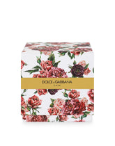 Scented Candle - Rosa Moschata - | Dolce & Gabbana