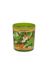 Scented Candle - Sicilian Orange - | Dolce & Gabbana
