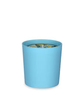 Scented Candle - Lemon - | Dolce & Gabbana