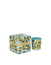 Scented Candle - Lemon - | Dolce & Gabbana
