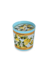 Scented Candle - Lemon - | Dolce & Gabbana