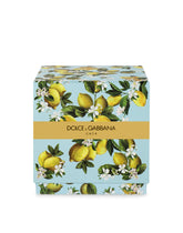 Scented Candle - Lemon - | Dolce & Gabbana