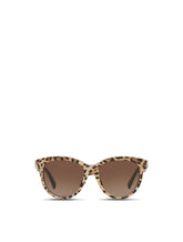 Print family sunglasses - | Dolce & Gabbana