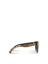 Print family sunglasses - | Dolce & Gabbana