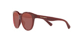 Print family sunglasses - | Dolce & Gabbana
