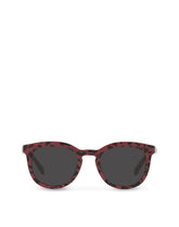 Hot Animalier Sunglasses - | Dolce & Gabbana