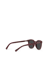 Hot Animalier Sunglasses - | Dolce & Gabbana