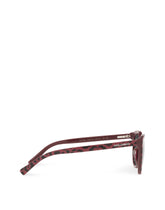 Hot Animalier Sunglasses - | Dolce & Gabbana