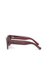 Hot Animalier Sunglasses - | Dolce & Gabbana
