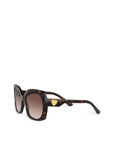 DG Devotion sunglasses - | Dolce & Gabbana