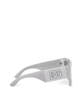 Zebra Sunglasses - | Dolce & Gabbana