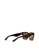 DG Barocco Sunglasses - | Dolce & Gabbana