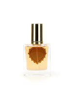 Fragrances - | Dolce & Gabbana