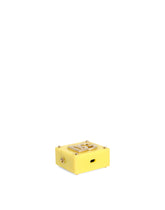Acrylic glass airpods pro case with DG logo -  | Dolce & Gabbana