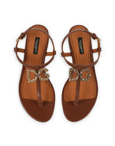 Women's Brown Leather Sandals -  | Dolce & Gabbana