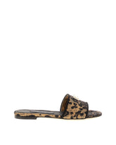 ACCESSORY -  | Dolce &amp; Gabbana