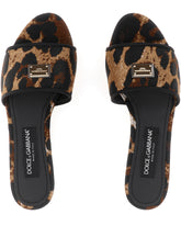 ACCESSORY -  | Dolce & Gabbana
