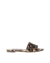 ACCESSORY -  | Dolce & Gabbana