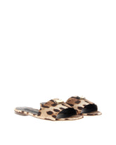 ACCESSORY -  | Dolce & Gabbana