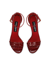 Crocodile-print baroque DG sandals -  | Dolce & Gabbana