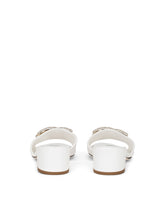ACCESSORY -  | Dolce &amp; Gabbana