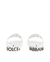  -  | Dolce & Gabbana